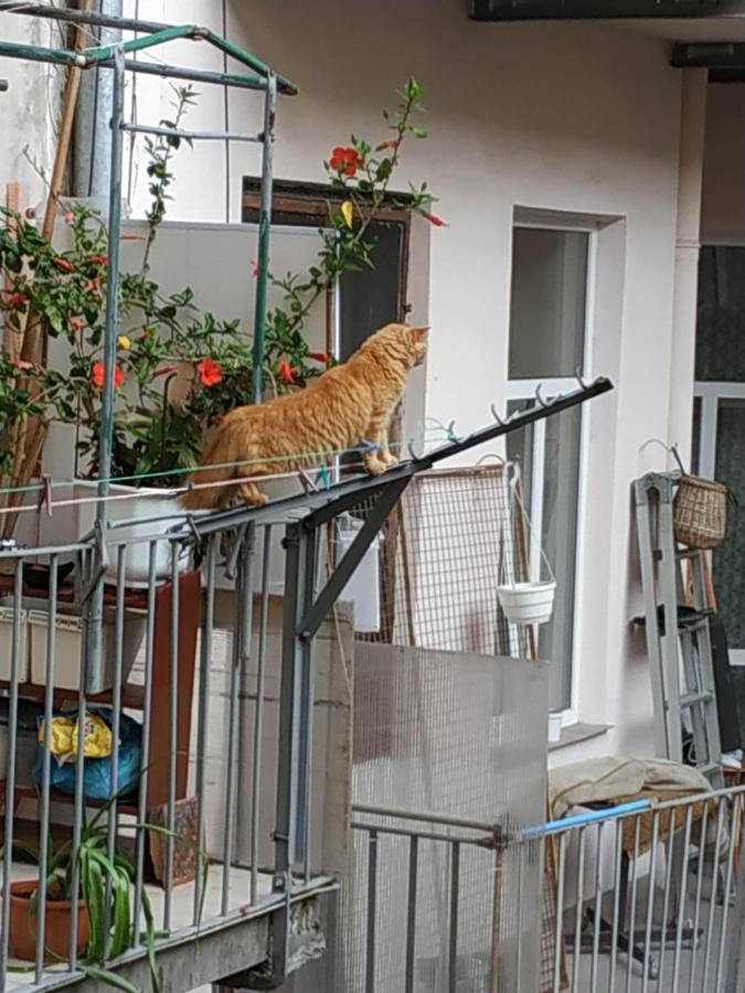 Львовский Дворик Extérieur photo